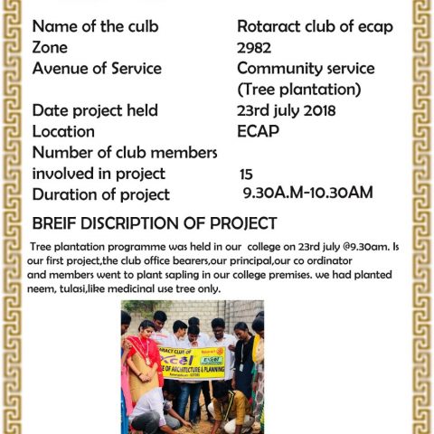 Tree plantation @ our department