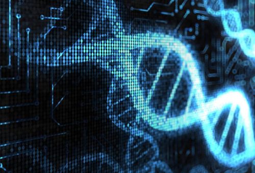 R-programming for Bioinformatics applications