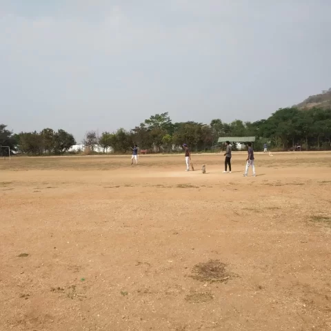 cricket 2