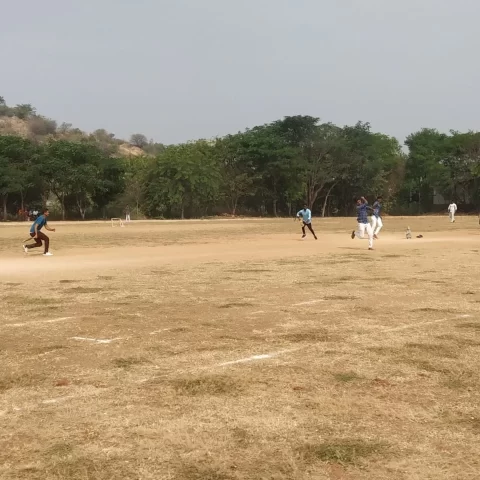 cricket