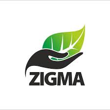 77) Zigma - 1.8 LPA (3 Offers)