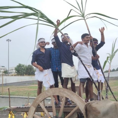 pongal_celebration