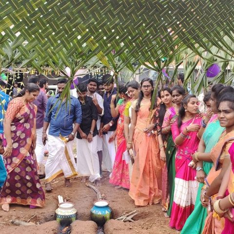 pongal_celebration