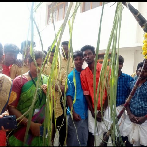 Pongal