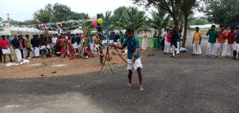Pongal Celebration