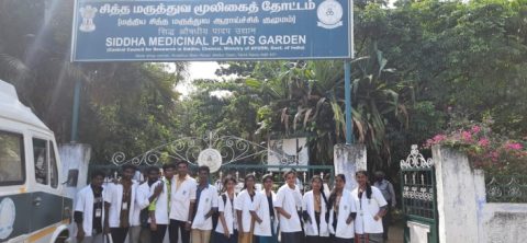 Siddha medicinal plants garden (smpg) visitation