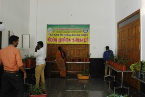 5th SIDDHA DAY PRE EVENT