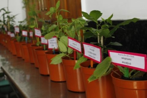 5th SIDDHA DAY PRE EVENT