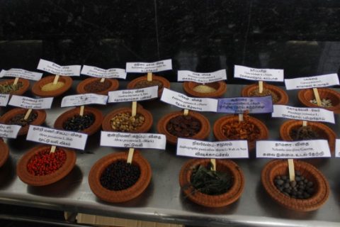 5th SIDDHA DAY PRE EVENT